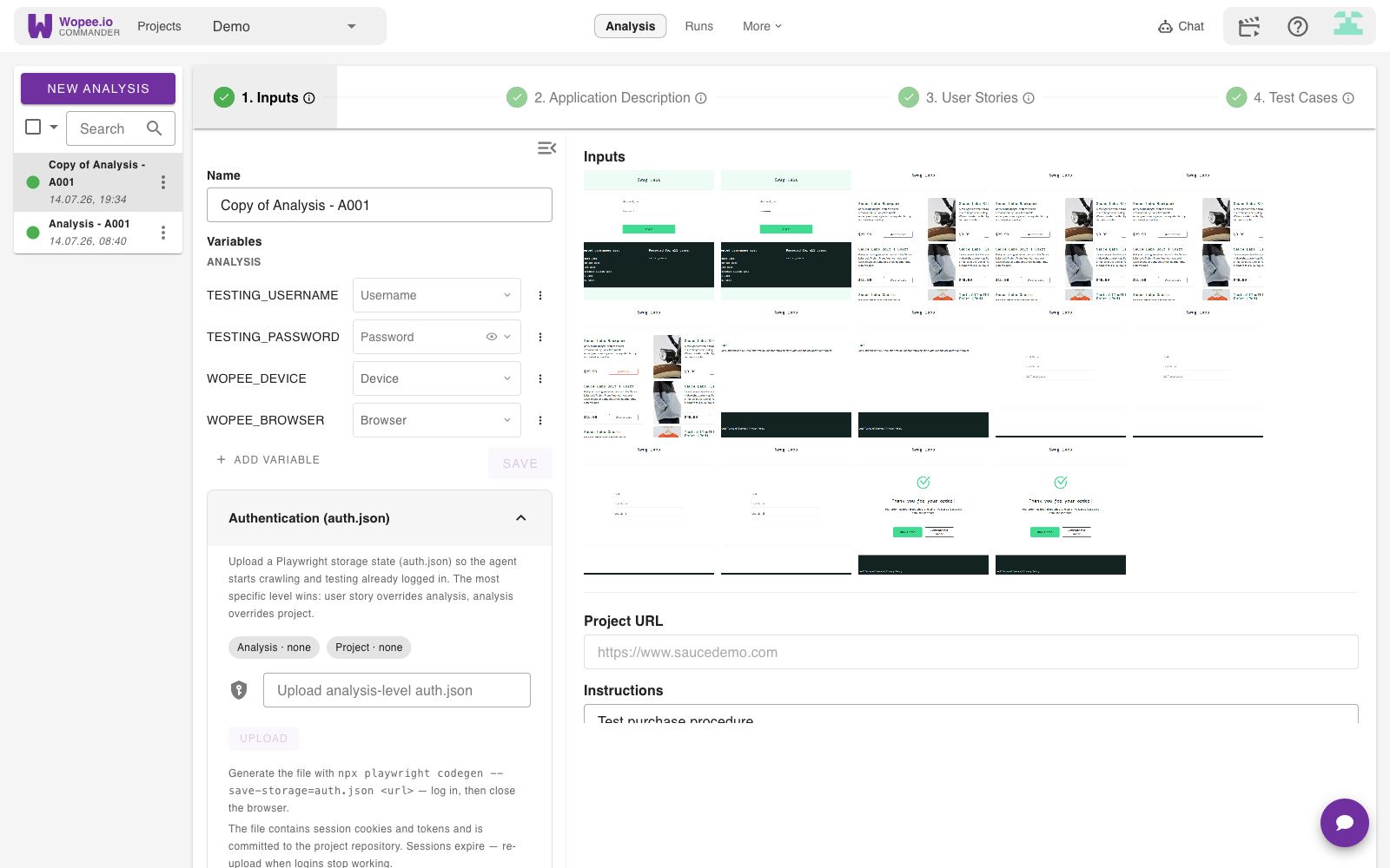Analysis-level auth.json upload in the analysis Inputs panel